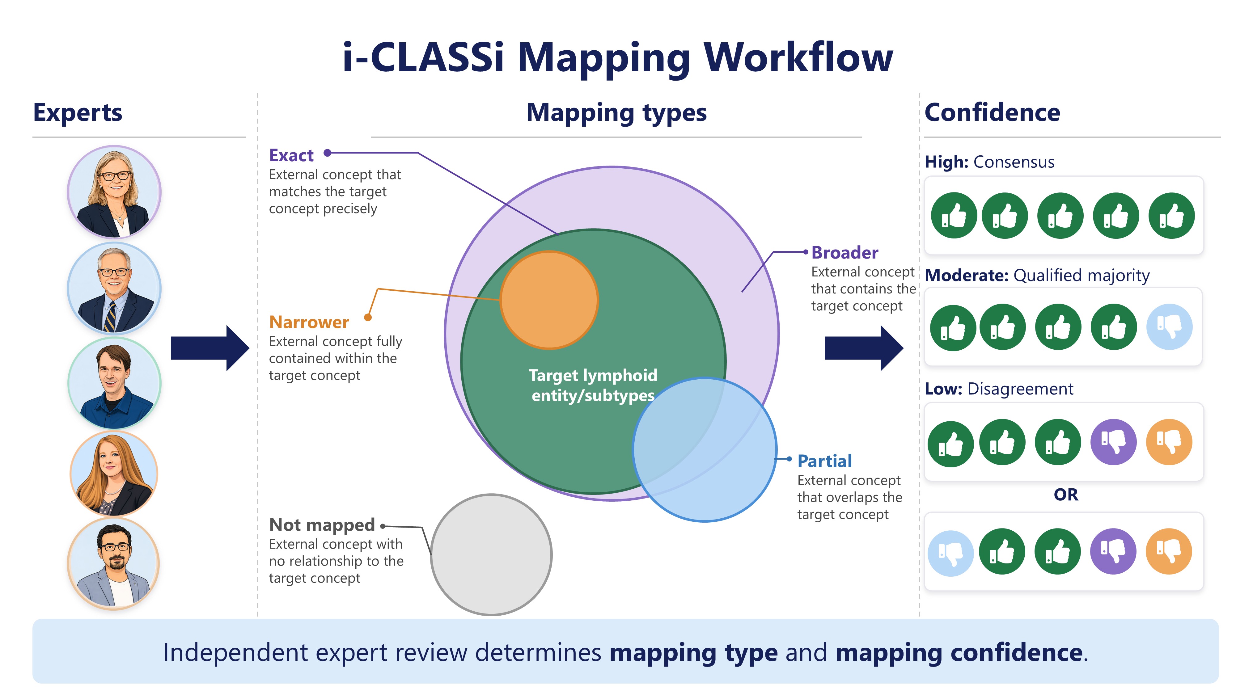 i-CLASSi mapping workflow showing expert review, mapping types, and confidence categories